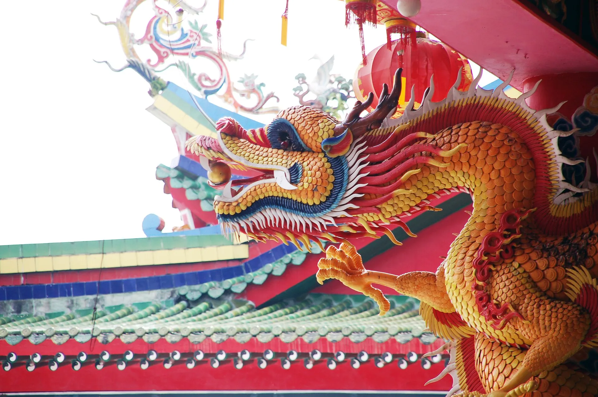 An ornate orange-and-gold dragon sculpture with bared teeth and claws curling along the eaves of a Chinese temple.