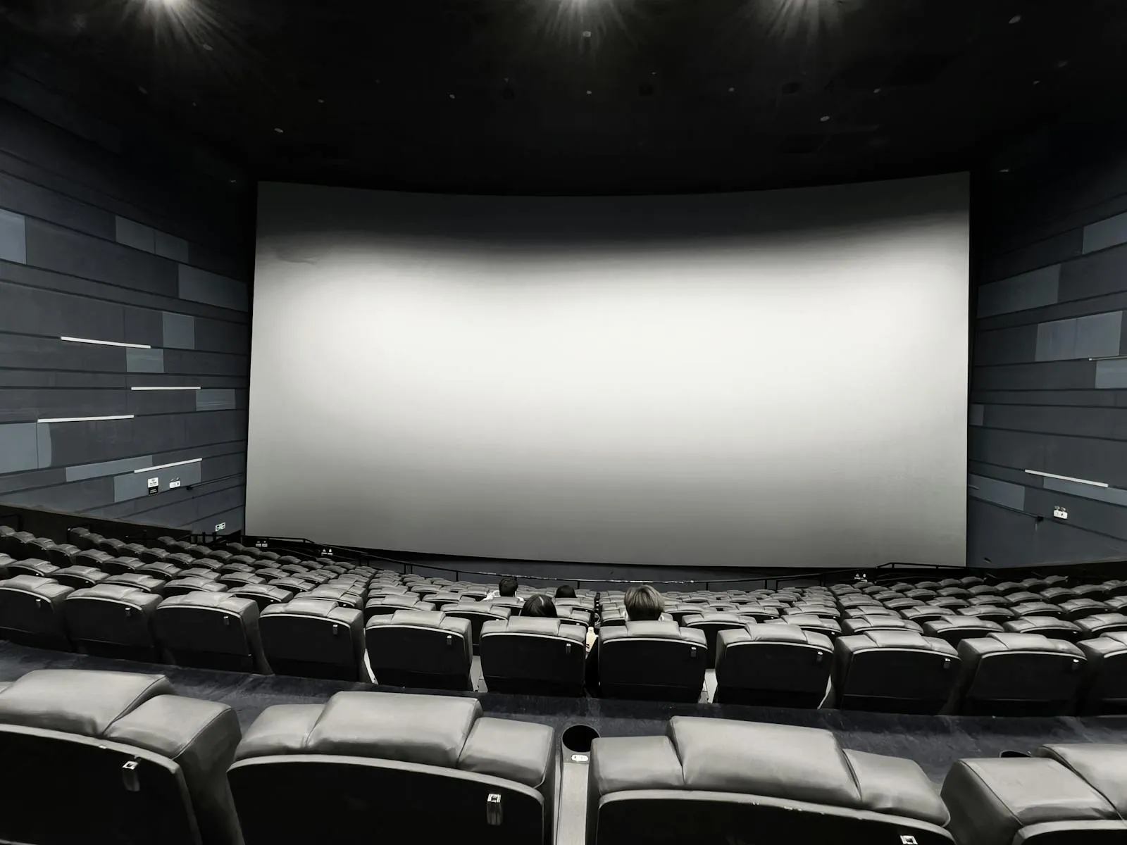 A large curved cinema screen lit white above rows of mostly empty dark leather seats