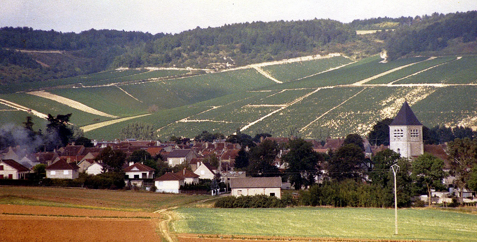Rows of grapevines stretch across hillsides above a small village in the Champagne wine region of France.